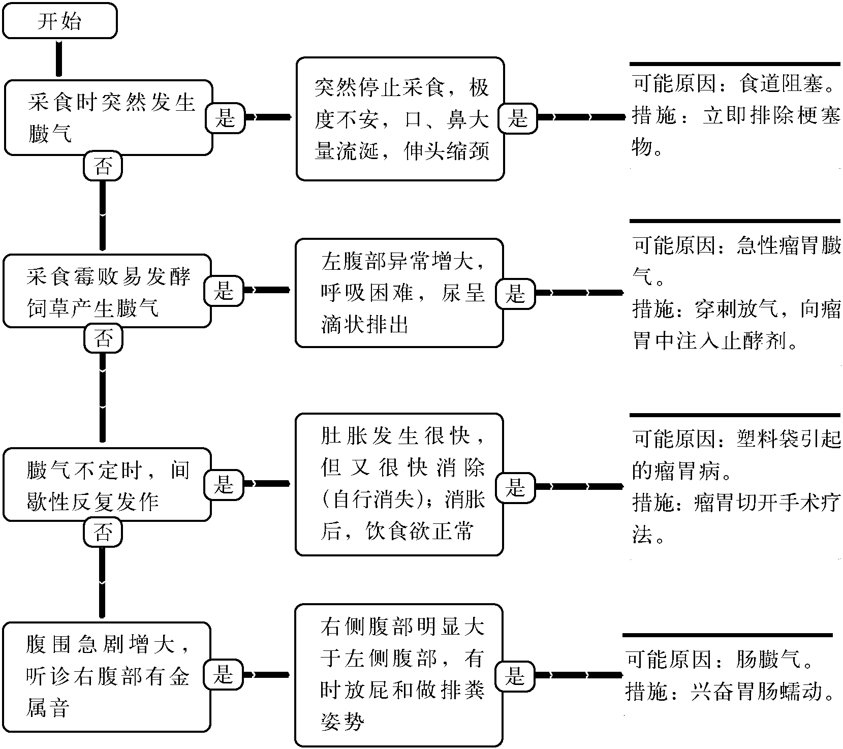 20.臌氣